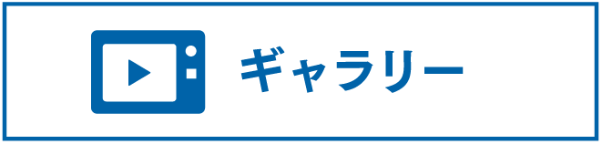 ギャラリー
